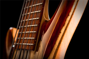 Fretboard ofJimmy Haslip's custom Wyn guitar, "Gabriela Rose"