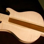 Flamed Maple